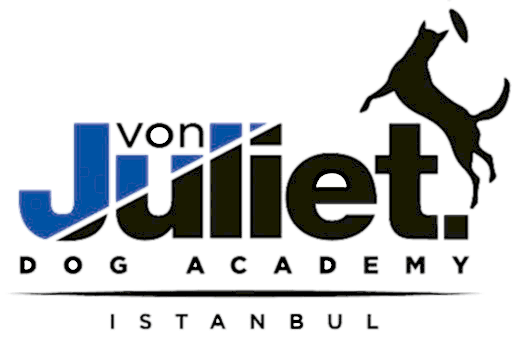von Juliet Logo